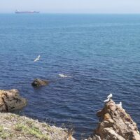 Plavecký kurz v Bulharsku na Slnečnom pobreží (87/146)